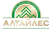 Алтайлес, Лесная холдинговая компания